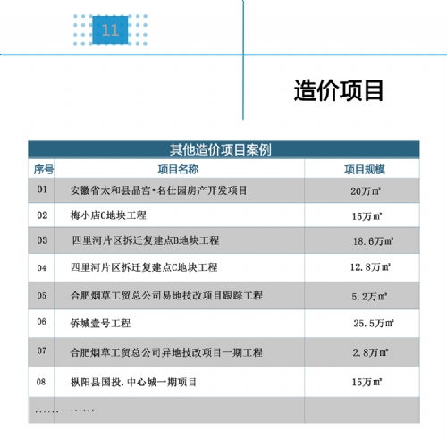 11造價項目